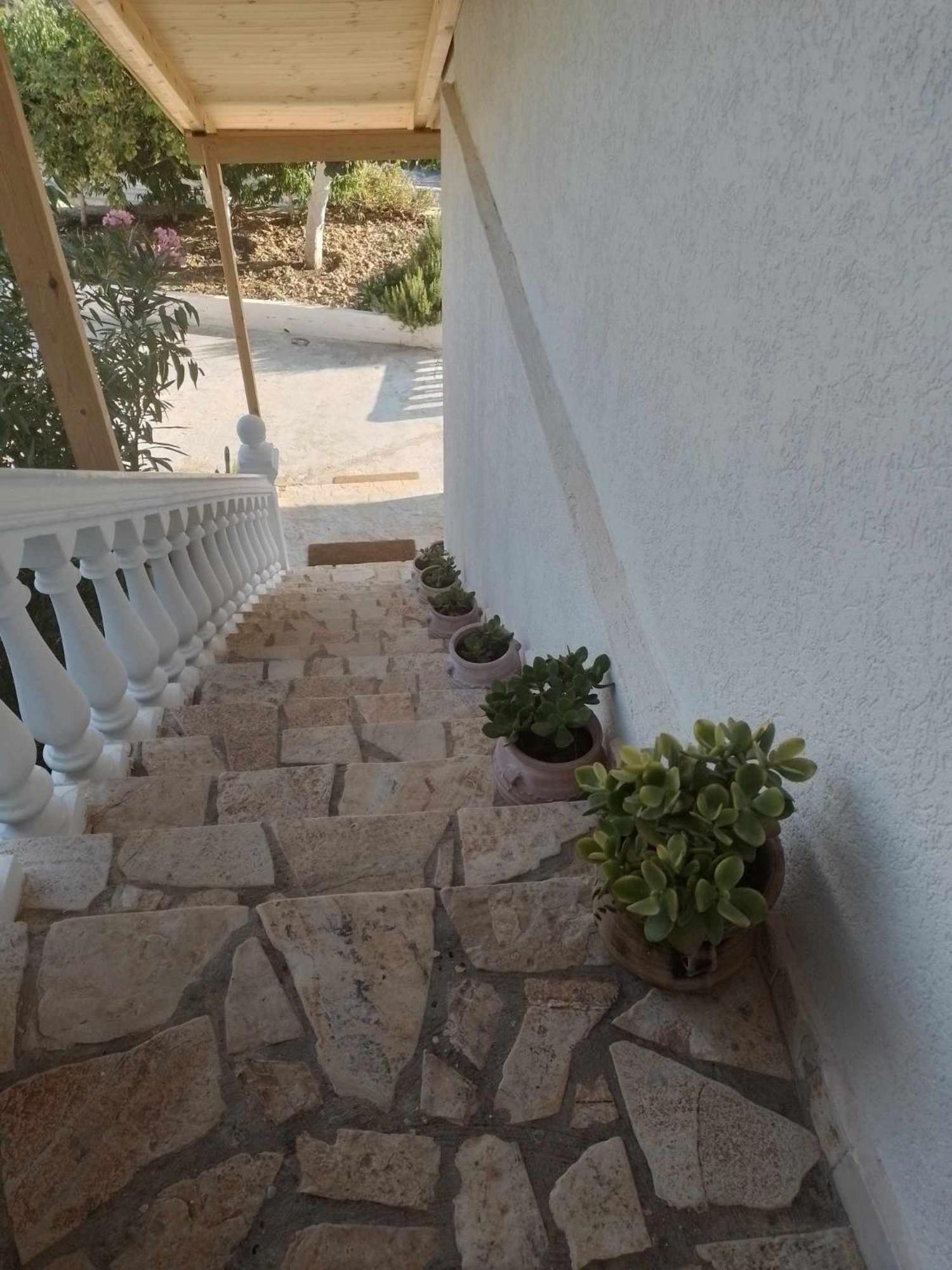 Vogklis House Pensión Qeparo