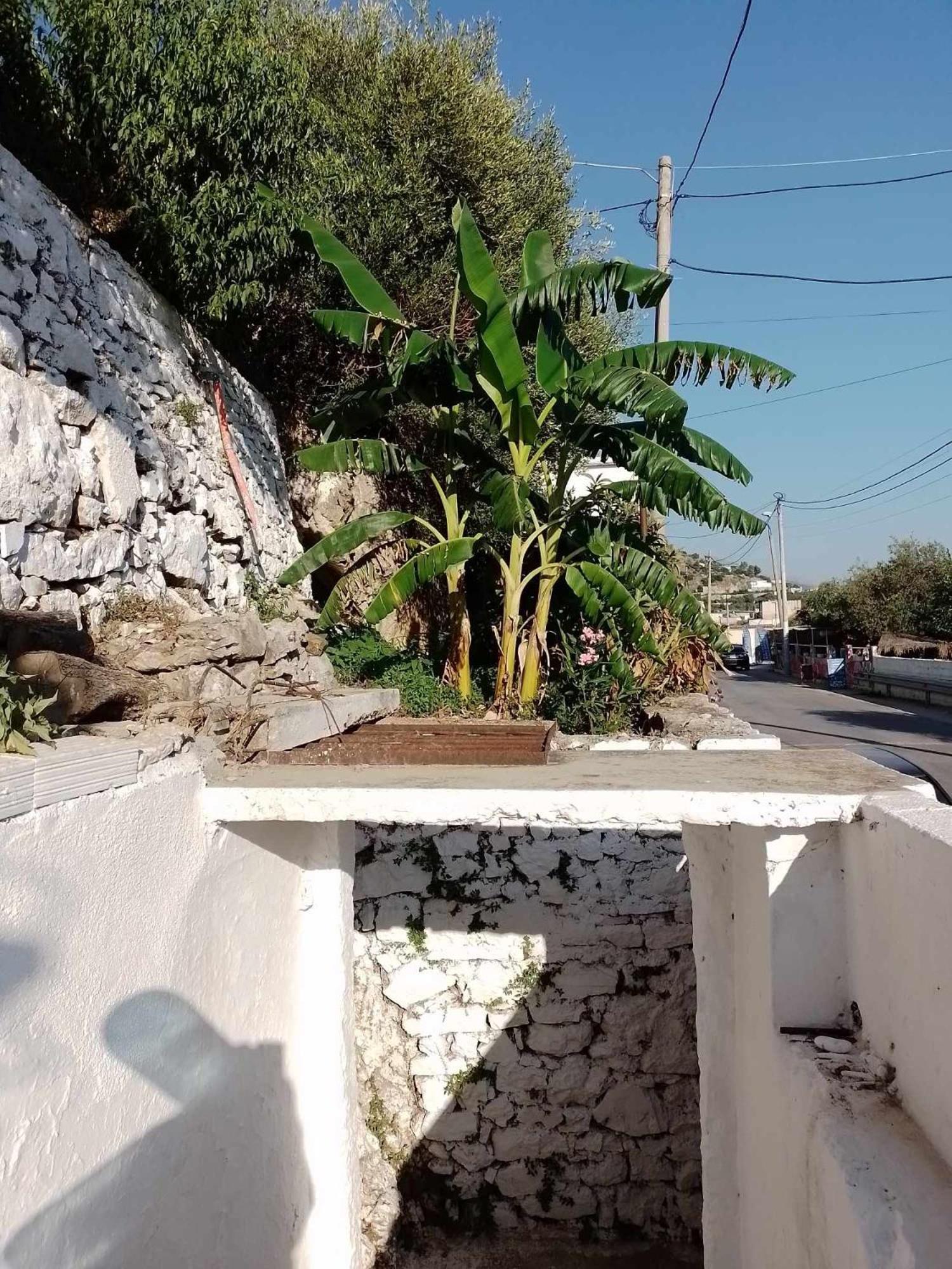 Vogklis House Pensión Qeparo